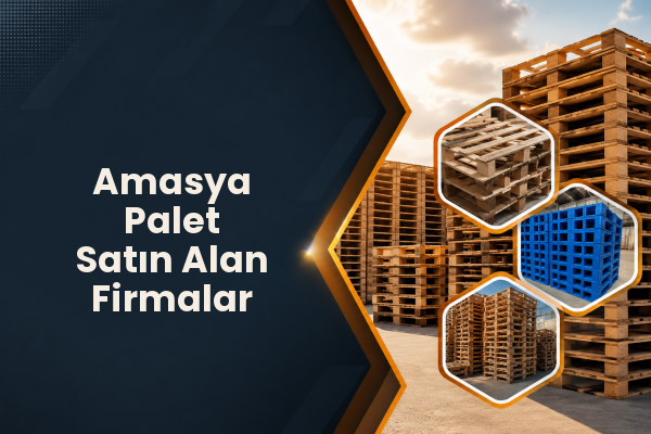 Amasya Palet Satın Alan Firmalar 