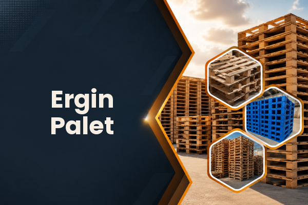 Ergin Palet 