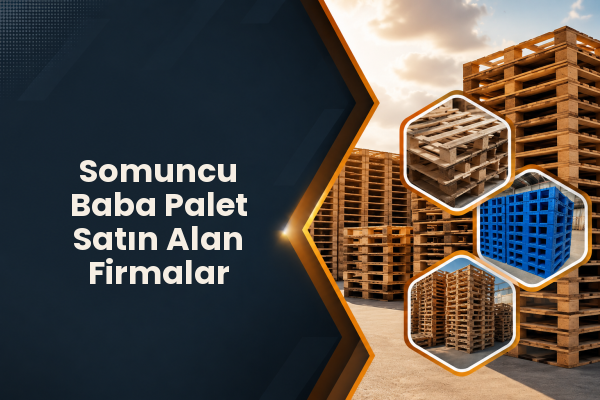 Somuncu Baba Palet Satın Alan Firmalar 